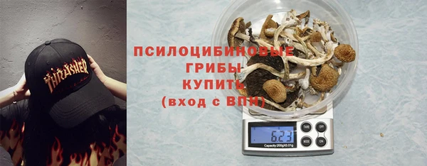 спиды Бугульма