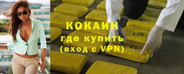 дживик Бронницы