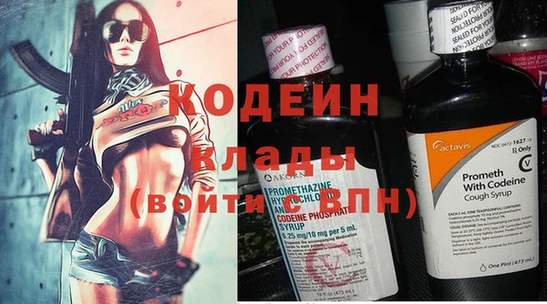 2c-b Бородино