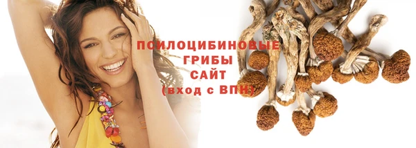 2c-b Бородино