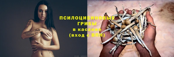 спиды Бугульма