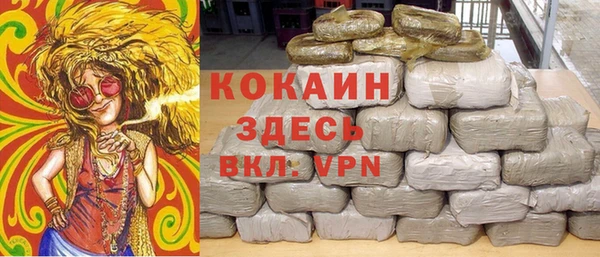 дживик Бронницы