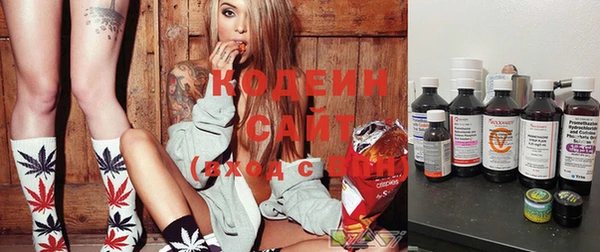 2c-b Бородино