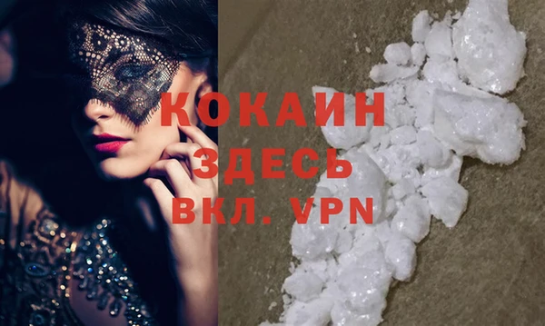 дживик Бронницы