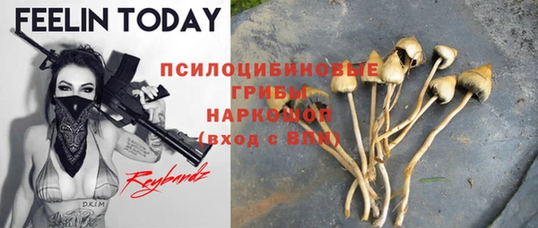 2c-b Бородино