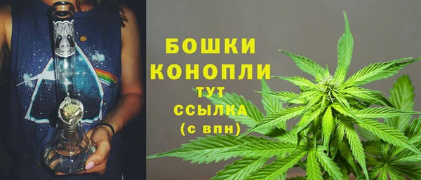 дживик Бронницы